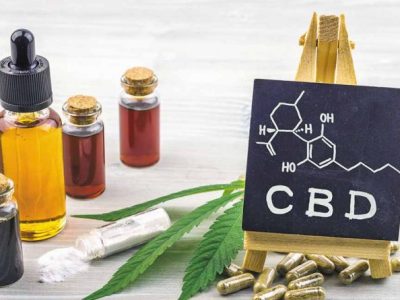 Choisir le meilleur CBD pour vos animaux en&nbsp;2024