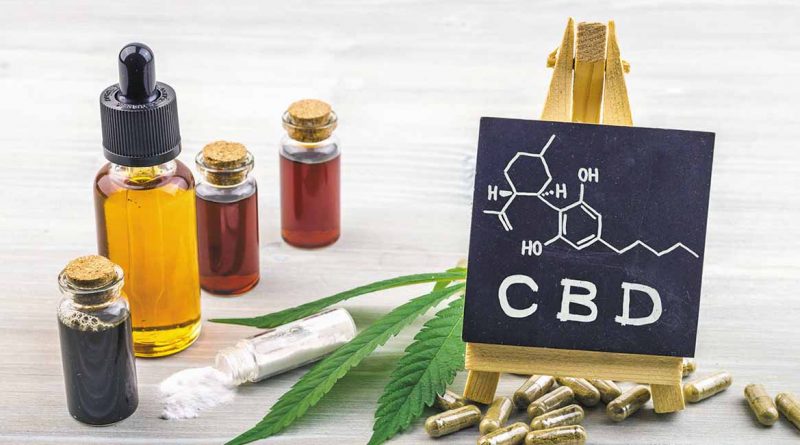 Choisir le meilleur CBD pour vos animaux en&nbsp;2024